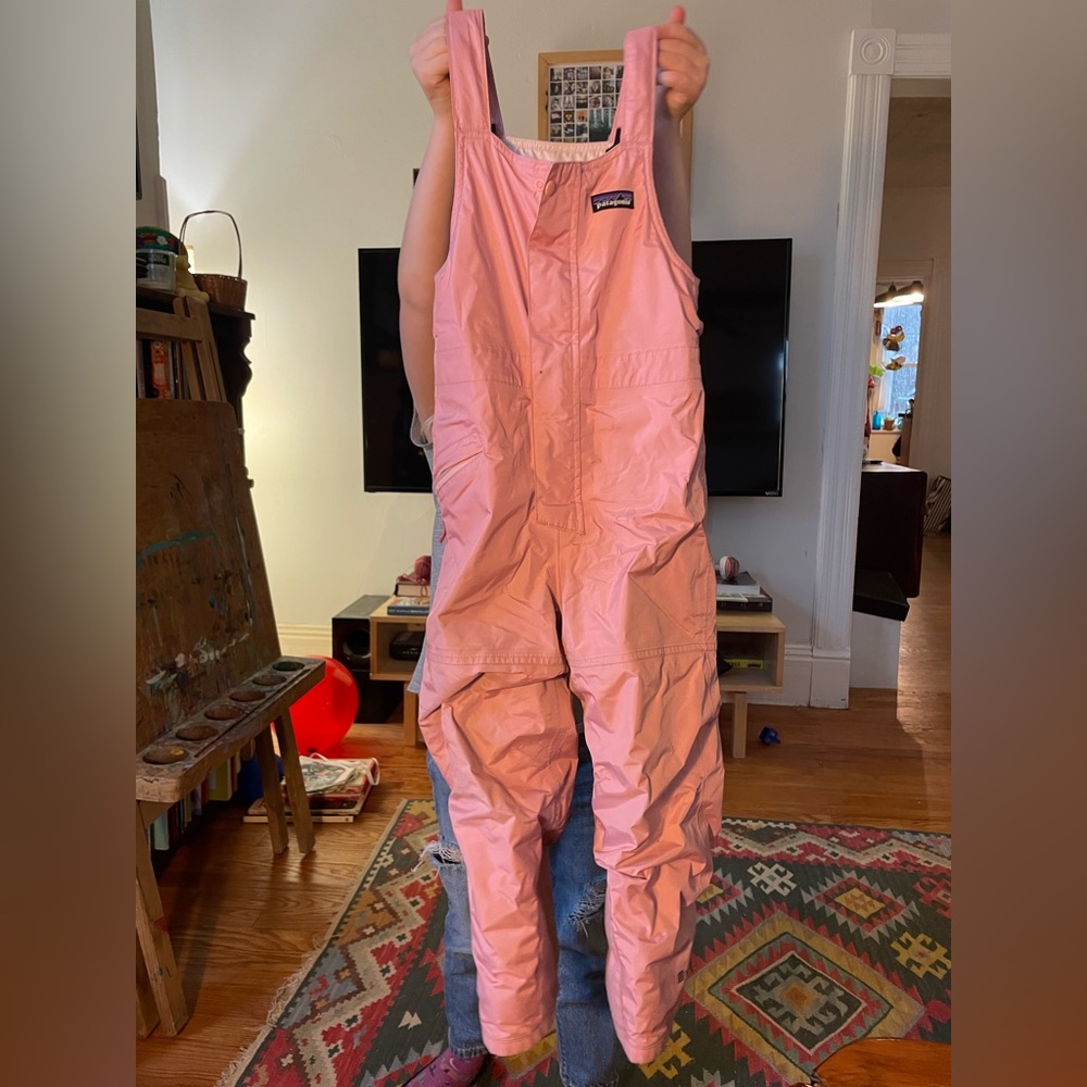 Pink 5T Patagonia snow bib
